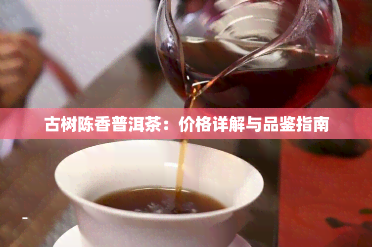 古树陈香普洱茶：价格详解与品鉴指南