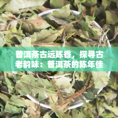 普洱茶古远陈香，探寻古老韵味：普洱茶的陈年佳酿与历传承