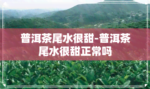 普洱茶尾水很甜-普洱茶尾水很甜正常吗