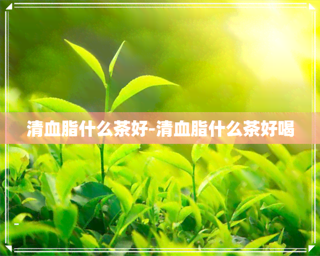 清血脂什么茶好-清血脂什么茶好喝