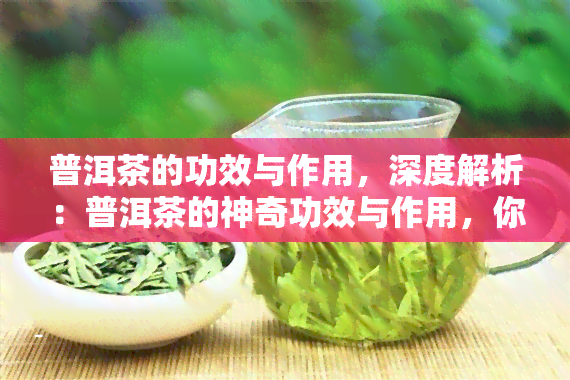 普洱茶的功效与作用，深度解析：普洱茶的神奇功效与作用，你一定要知道！