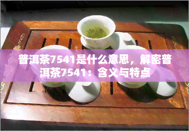 普洱茶7541是什么意思，解密普洱茶7541：含义与特点