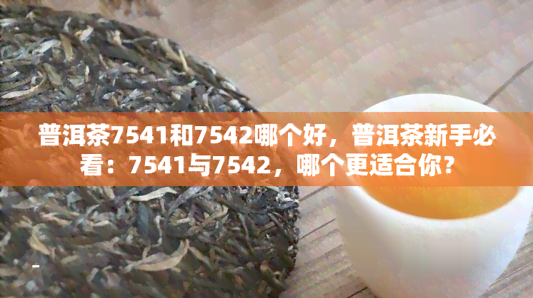 普洱茶7541和7542哪个好，普洱茶新手必看：7541与7542，哪个更适合你？