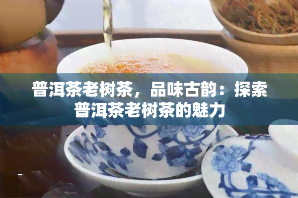 普洱茶老树茶，品味古韵：探索普洱茶老树茶的魅力