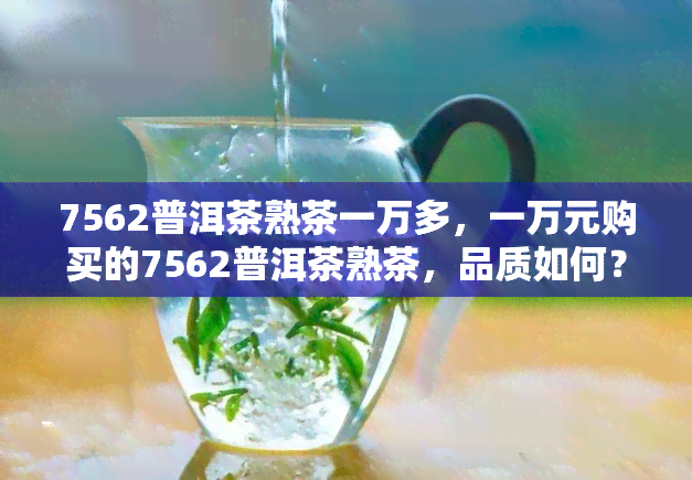 7562普洱茶熟茶一万多，一万元购买的7562普洱茶熟茶，品质如何？