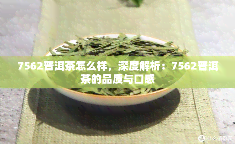 7562普洱茶怎么样，深度解析：7562普洱茶的品质与口感