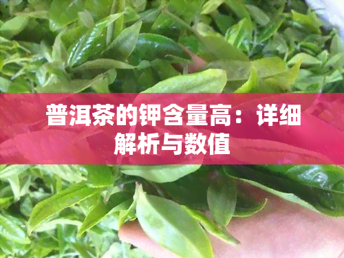 普洱茶的钾含量高：详细解析与数值