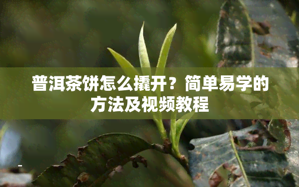 普洱茶饼怎么撬开？简单易学的方法及视频教程