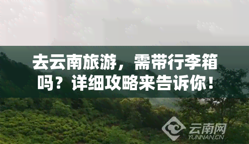 去云南旅游，需带行李箱吗？详细攻略来告诉你！