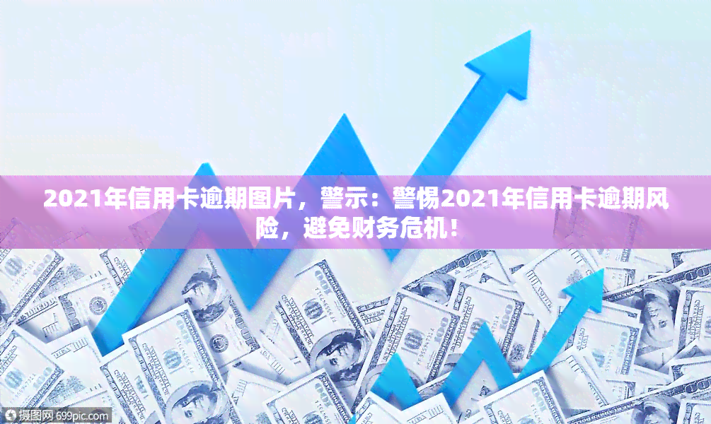 2021年信用卡逾期图片，警示：警惕2021年信用卡逾期风险，避免财务危机！