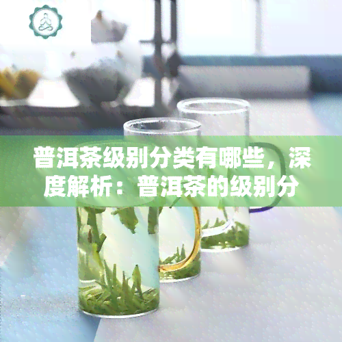 普洱茶级别分类有哪些，深度解析：普洱茶的级别分类及其特点