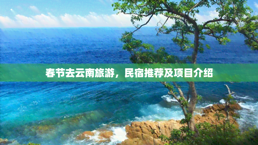 春节去云南旅游，民宿推荐及项目介绍