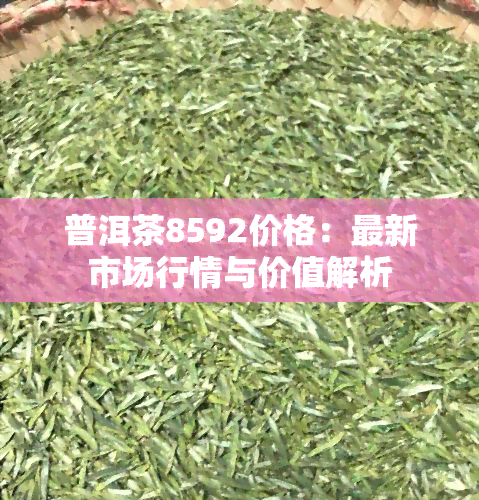 普洱茶8592价格：最新市场行情与价值解析