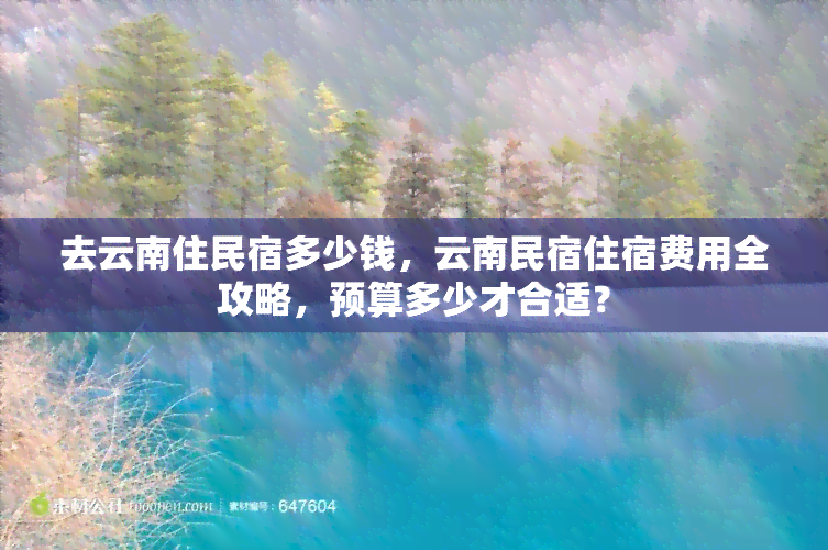 去云南住民宿多少钱，云南民宿住宿费用全攻略，预算多少才合适？