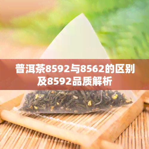 普洱茶8592与8562的区别及8592品质解析