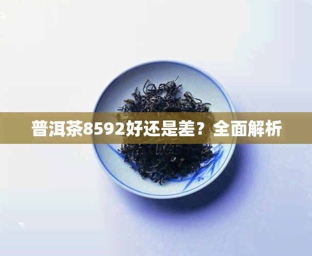 普洱茶8592好还是差？全面解析