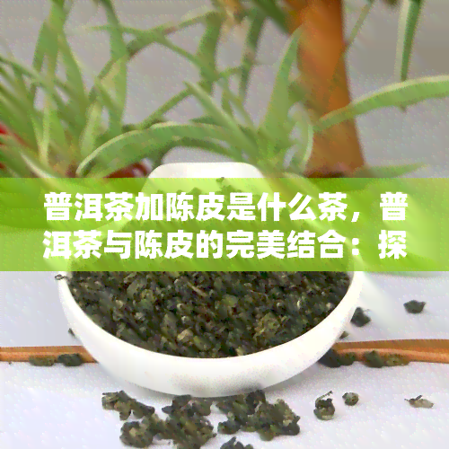 普洱茶加陈皮是什么茶，普洱茶与陈皮的完美结合：探秘一种独特的茶饮