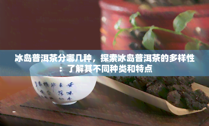 冰岛普洱茶分哪几种，探索冰岛普洱茶的多样性：了解其不同种类和特点