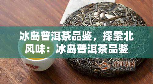 冰岛普洱茶品鉴，探索北风味：冰岛普洱茶品鉴