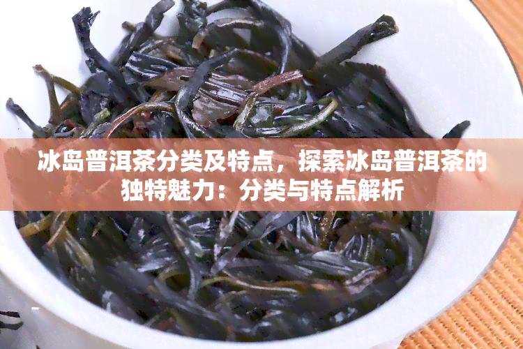 冰岛普洱茶分类及特点，探索冰岛普洱茶的独特魅力：分类与特点解析