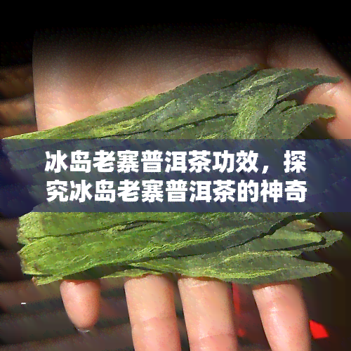 冰岛老寨普洱茶功效，探究冰岛老寨普洱茶的神奇功效