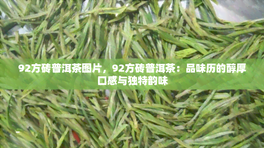 92方砖普洱茶图片，92方砖普洱茶：品味历的醇厚口感与独特韵味