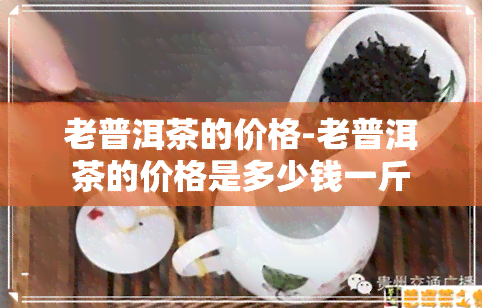 老普洱茶的价格-老普洱茶的价格是多少钱一斤