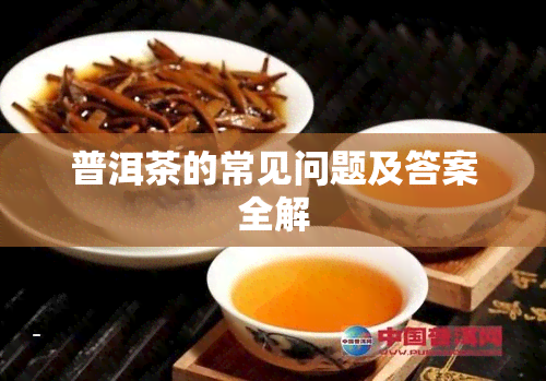 普洱茶的常见问题及答案全解