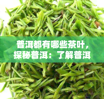 普洱都有哪些茶叶，探秘普洱：了解普洱茶的多样品种