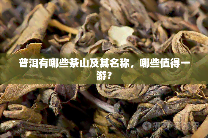 普洱有哪些茶山及其名称，哪些值得一游？