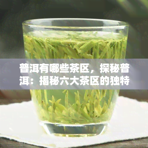 普洱有哪些茶区，探秘普洱：揭秘六大茶区的独特魅力