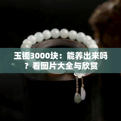 玉镯3000块：能养出来吗？看图片大全与欣赏