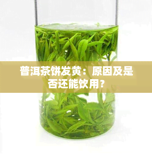 普洱茶饼发黄：原因及是否还能饮用？