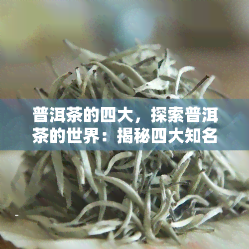 普洱茶的四大，探索普洱茶的世界：揭秘四大知名