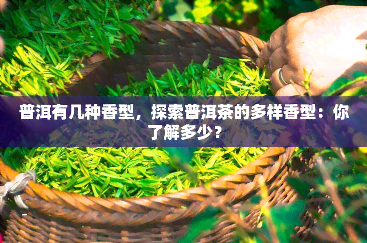 普洱有几种香型，探索普洱茶的多样香型：你了解多少？