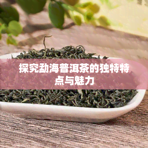 探究勐海普洱茶的独特特点与魅力