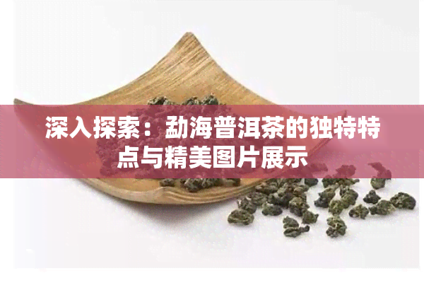 深入探索：勐海普洱茶的独特特点与精美图片展示