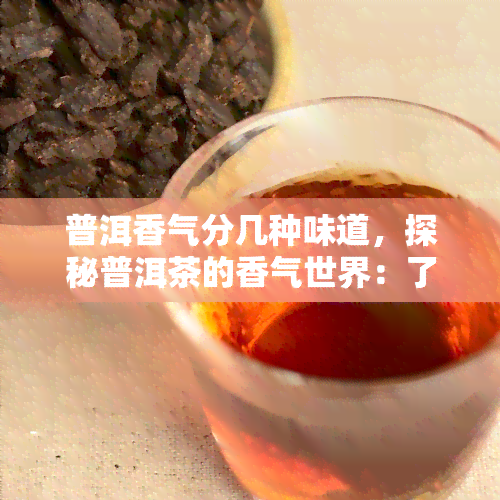 普洱香气分几种味道，探秘普洱茶的香气世界：了解其多样味道