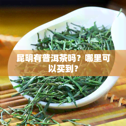 昆明有普洱茶吗？哪里可以买到？