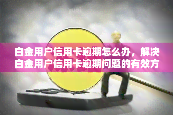 白金用户信用卡逾期怎么办，解决白金用户信用卡逾期问题的有效方法