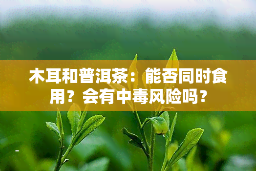 木耳和普洱茶：能否同时食用？会有中风险吗？