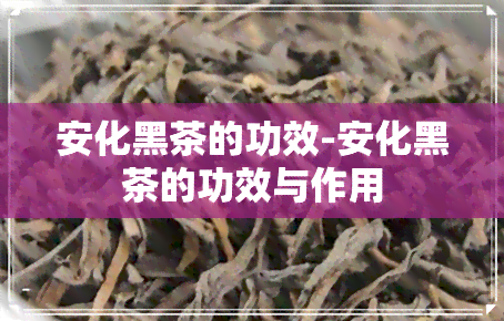 安化黑茶的功效-安化黑茶的功效与作用