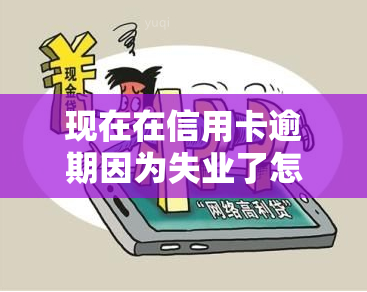 现在在信用卡逾期因为失业了怎么办，失业导致信用卡逾期，应该采取哪些应对措？