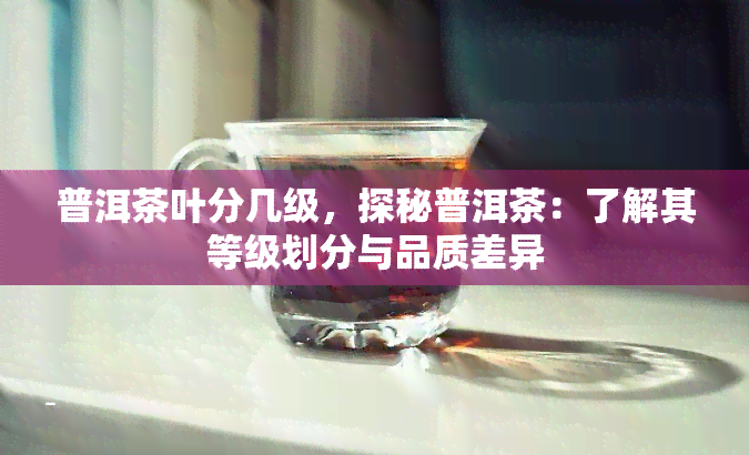 普洱茶叶分几级，探秘普洱茶：了解其等级划分与品质差异