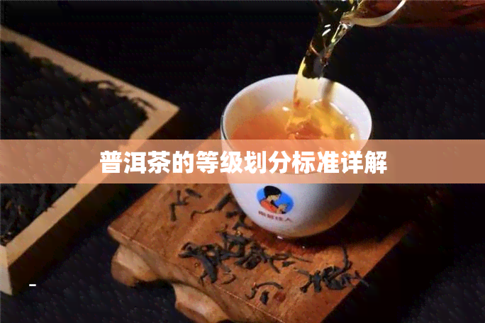 普洱茶的等级划分标准详解