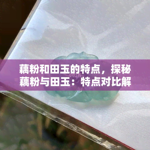 藕粉和田玉的特点，探秘藕粉与田玉：特点对比解析