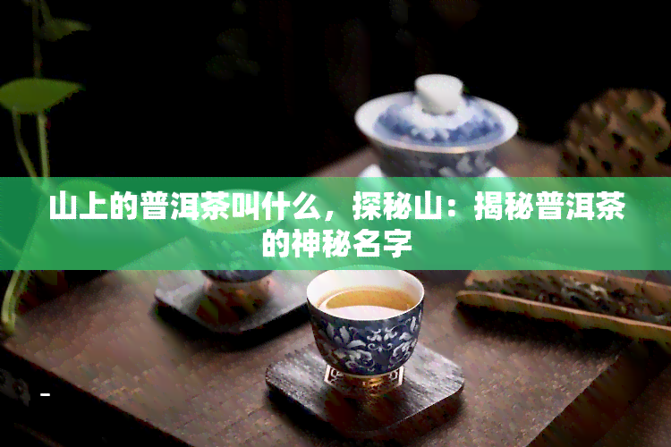 山上的普洱茶叫什么，探秘山：揭秘普洱茶的神秘名字