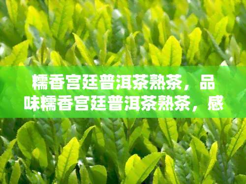 糯香宫廷普洱茶熟茶，品味糯香宫廷普洱茶熟茶，感受传统与现代的完美融合