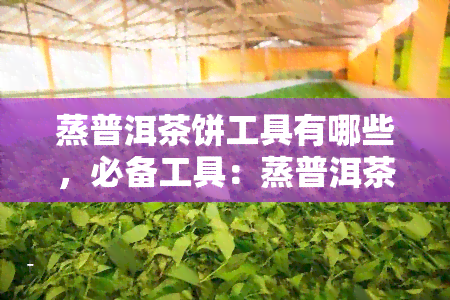 蒸普洱茶饼工具有哪些，必备工具：蒸普洱茶饼的制作全攻略