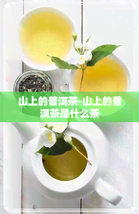 山上的普洱茶-山上的普洱茶是什么茶